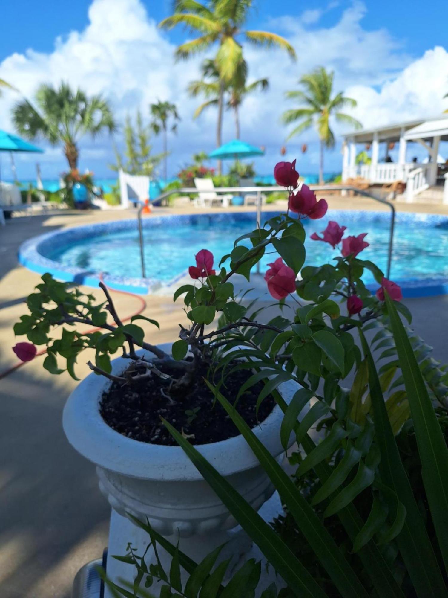 Sibonne Beach Hotel 그레이스 베이 외부 사진