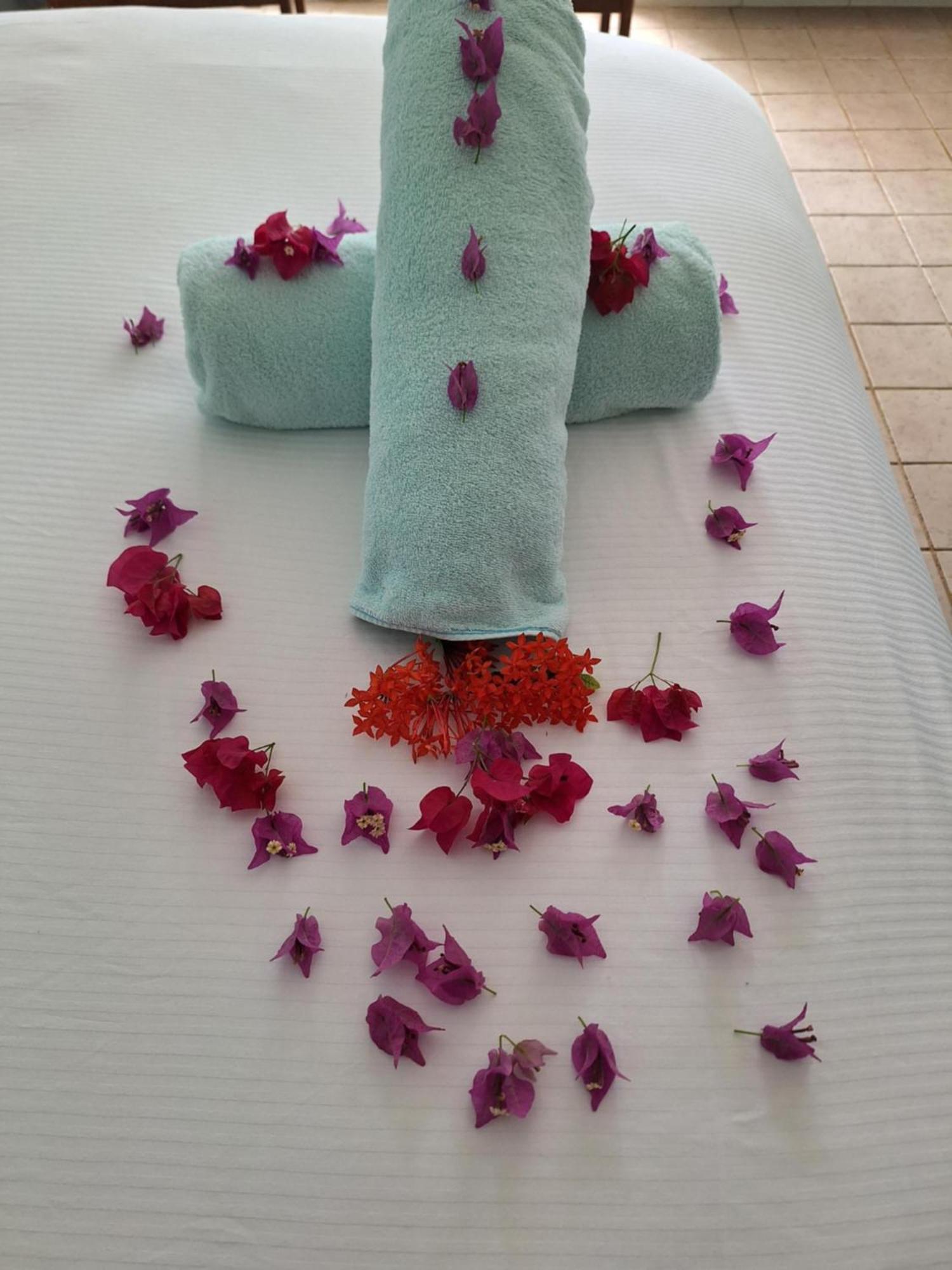 Sibonne Beach Hotel 그레이스 베이 외부 사진